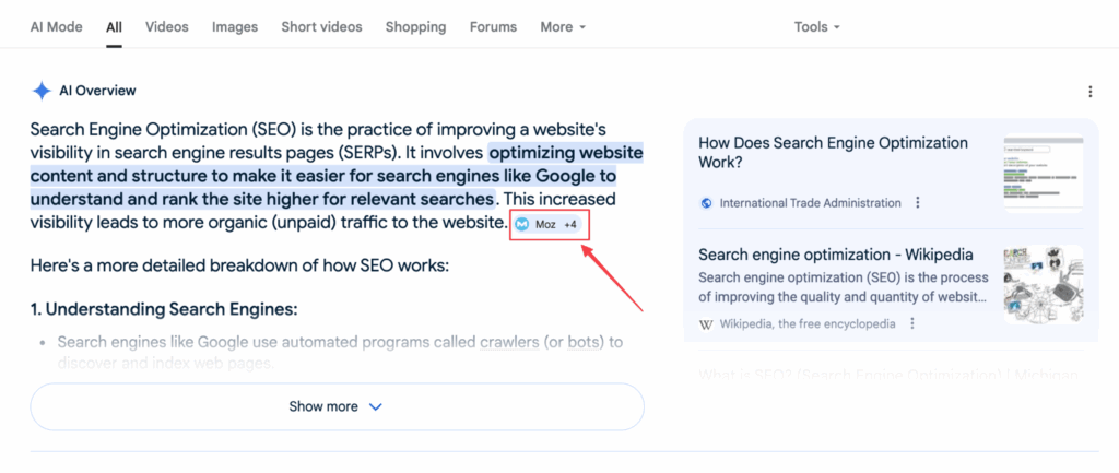 AI Overview icon site
