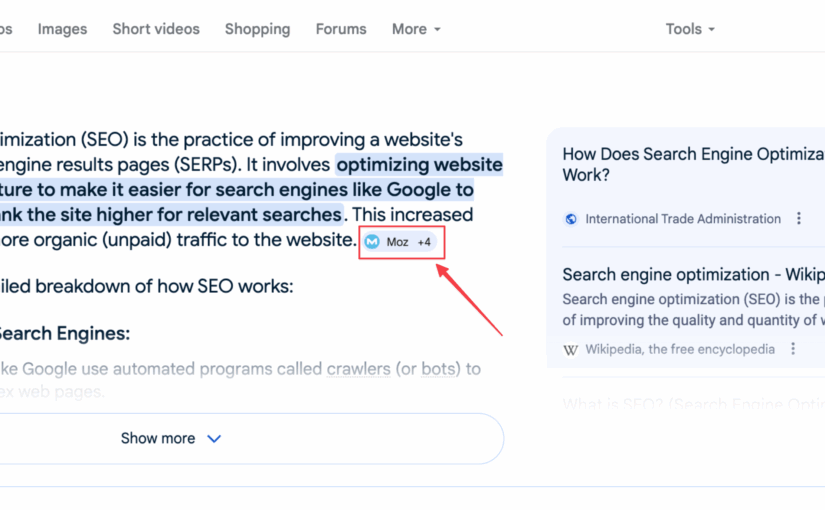 AI Overview icon site